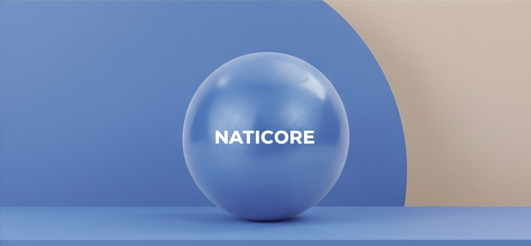 NATICORE Fitness Mini Pilates Ball (25CM)